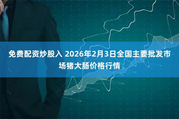 免费配资炒股入 2026年2月3日全国主要批发市场猪大肠价格行情